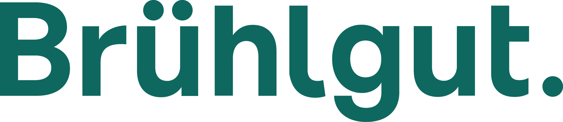 Brühlgut Foundation logo